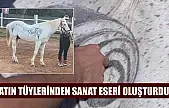 Atın tüylerinden sanat eseri oluşturdu