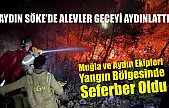 Aydın Söke'de alevler geceyi aydınlattı