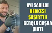 Ayı sanıldı, herkesi şaşırttı! Gerçek başka çıktı