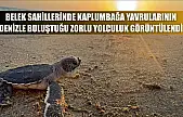 Belek sahillerinde kaplumbağa yavrularının denizle buluştuğu zorlu yolculuk görüntülendi