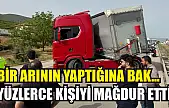 Bir arının yaptığına bak...Yüzlerce kişiyi mağdur etti