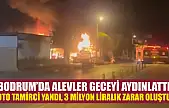 Bodrum'da alevler geceyi aydınlattı: Oto tamirci yandı, 3 milyon liralık zarar oluştu