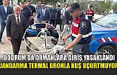 Bodrum'da ormanlara giriş yasaklandı, jandarma termal dronla kuş uçurtmuyor