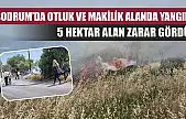 Bodrum'da otluk ve makilik alanda yangın: 5 hektar alan zarar gördü