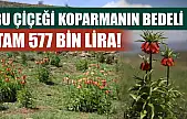 Bu çiçeği koparmanın bedeli tam 577 bin lira!
