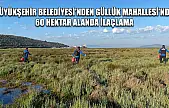 Büyükşehir Belediyesi'nden Güllük Mahallesi'nde 60 Hektar Alanda İlaçlama