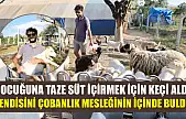 Çocuğuna taze süt içirmek için keçi aldı, kendisini çobanlık mesleğinin içinde buldu