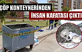 Çöp konteynerinden insan kafatası çıktı
