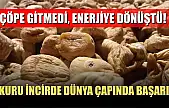 Çöpe gitmedi, enerjiye dönüştü! Kuru İncirde dünya çapında başarı