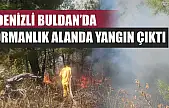 Denizli Buldan'da ormanlık alanda yangın çıktı