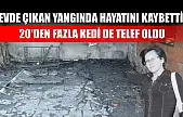 Evde çıkan yangında hayatını kaybetti, 20'den fazla kedi de telef oldu