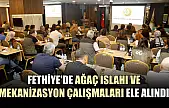 Fethiye'de ağaç ıslahı ve mekanizasyon çalışmaları ele alındı