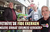 Fethiye'de fide ekerken nelere dikkat edilmesi gerekir?