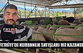 Fethiye'de kurbanlık satışları hız kazandı