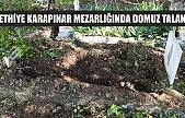 Fethiye Karapınar mezarlığında domuz talanı