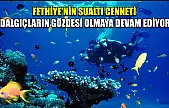 Fethiye'nin sualtı cenneti 'Dalgıçların gözdesi olmaya devam ediyor'