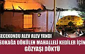 Gecekondu alev alev yandı, sokağa dökülen mahalleli kediler için gözyaşı döktü