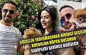 Güzellik yarışmasında birinci seçilip kaybolan köpek bulundu, sahipleri sevince boğuldu