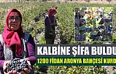 Kalbine Şifa Buldu, 1200 Fidan Aronya Bahçesi Kurdu