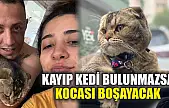 Kayıp kedi bulunmazsa kocası boşayacak
