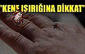 'Kene ısırığına dikkat'