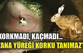 Korkmadı, kaçmadı... 'Ana yüreği korku tanımaz'