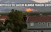 Köyceğiz'de sazlık alanda yangın çıktı
