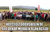 Köyceğiz Döğüşbelen'de 400 dekar meralık alan açıldı