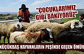 Küçükbaş hayvanların peşinde geçen ömür: 'Çocuklarımız gibi bakıyoruz'