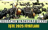 Kurbanlık alacaklar dikkat: İşte 2025 fiyatları