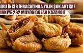 Kuru incir ihracatında yılın şok artışı! Türkiye 292 milyon dolar kazandı!