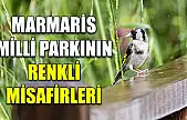 Marmaris Milli Parkının renkli misafirleri