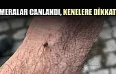 Meralar canlandı, kenelere dikkat