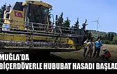 Muğla'da Biçerdöverle Hububat Hasadı Başladı
