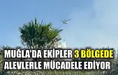 Muğla'da ekipler 3 bölgede alevlerle mücadele ediyor
