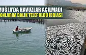 Muğla'da havuzlar açılmadı, tonlarca balık telef oldu iddiası