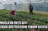 Muğla'da örtü altı sebze üreticilerine teknik destek