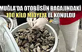 Muğla'da otobüsün bagajındaki 100 kilo midyeye el konuldu