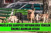 Muğla'da sahipsiz hayvanlara yönelik önemli adımlar atıldı
