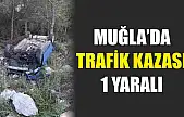 Muğla'da trafik kazası:1 yaralı