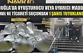 Muğla'da Uyuşturucu veya Uyarıcı Madde İmal ve Ticareti Suçundan 1 Şahıs Tutuklandı