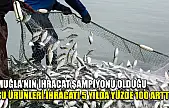 Muğla'nın ihracat şampiyonu olduğu su ürünleri ihracatı 5 yılda yüzde 100 arttı