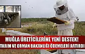 Muğla Üreticilerine Yeni Destek! Tarım ve Orman Bakanlığı Ödemeleri Artırdı