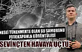 Nesli tükenmekte olan su samurunu fotokapanla görüntüledi: Sevinçten havaya uçtu