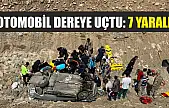 Otomobil dereye uçtu: 7 yaralı