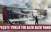 Peçete yüklü tır alev alev yandı
