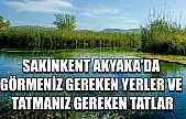 Sakinkent Akyaka'da görmeniz gereken yerler ve tatmanız gereken tatlar