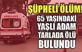 Şüpheli ölüm! 65 yaşındaki yaşlı adam tarlada ölü bulundu