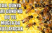 TAB, Dünya Arı Günü'nü bu yıl Muğla'da kutlayacak