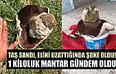 Taş sandı, elini uzattığında şoke oldu! 1 kiloluk mantar gündem oldu